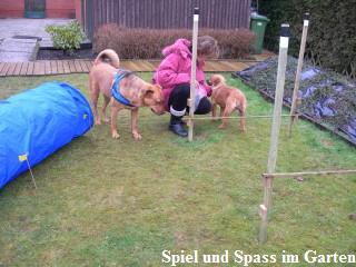 Hundewiese