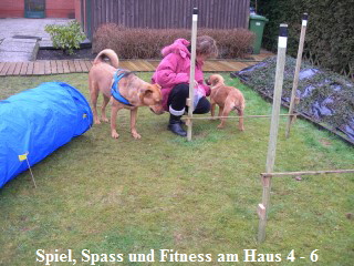 Hundewiese Haus 4-6