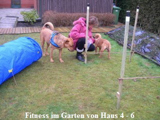 Hundewiese 2