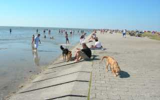 Norddeich Hundestrand