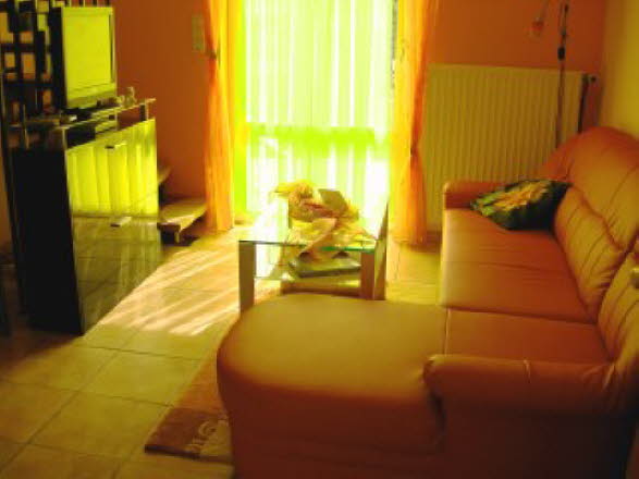 Wohnzimmer mit Zugang zur Terrasse
