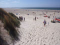 Hundeurlaub an der Nordsee
